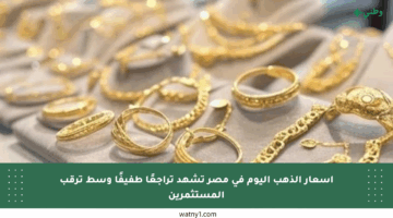 أسعار الذهب اليوم في مصر تشهد تراجعًا طفيفًا وسط ترقب المستثمرين